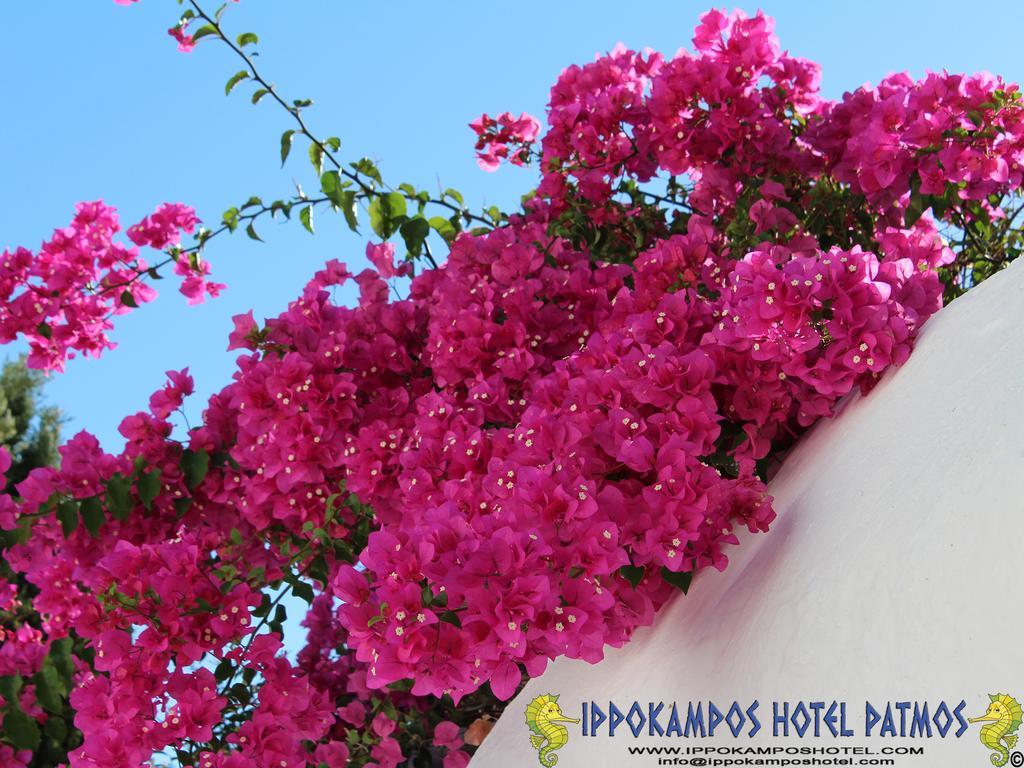 Ippokampos Hotel Skála Exterior foto